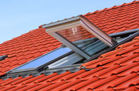 Goring Heath roof window